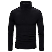 preiswerte Herrenpullover-Herren Rollkragenpulli Pullover Kurzer Pullover Gerippt Stricken Normale Oberteile gestrickt Glatt Rollkragen Moderne zeitgenössische Arbeit Freizeitskleidung Bekleidung Winter Wein Schwarz S M L