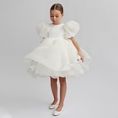 cheap Flower Girl&#039;s Dresses-Kids Girls&#039; Flower Girl Dress Party Dress Solid Color Graphic Short Sleeve Performance Wedding Party Fashion Adorable Daily Cotton Party Dress Spring Fall 2-8 Years White Ivory Pink