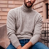 levne pánský pulovrový svetr-Pánské Rolák Pulovrový svetr Pánský svetr s želvím krkem Rýhovaný Plést Standardní Úplet Bez vzoru Rolák Moderní soudobé Úzký střih Práce Denní nošení Oblečení Podzim zima Fialová Černá S M L