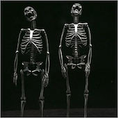 ieftine Decorațiuni de Halloween pentru suspendare și masă-cadou de halloween 14 cm/5,51 inchi, pandantiv cu schelet pentru întregul corp din argint sterlind realizat manual - cadou de halloween