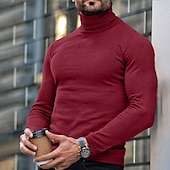preiswerte Herrenpullover-Herren Rollkragenpulli Pullover Gerippt Stricken Standard gestrickt Glatt Rollkragen Moderne zeitgenössische Schmaler Schnitt Arbeit Freizeitskleidung Bekleidung Herbst Winter Wein Schwarz M L XL