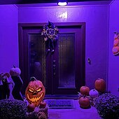 billiga LED-klotlampor-2st 1st led svart uv halloween lila glödlampa 9.5w svart glödlampa byte upp till 100w svart ljus uva nivå 385-400nm a19 spöklik halloween atmosfär