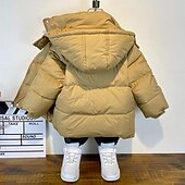 billiga Pojkars dunjacka och parka-Barn Pojkar Fleece-jacka Hoodiejacka Ytterkläder Ensfärgat Långärmad Dragkedja Täcka Ledigt Förtjusande Dagligen Svart Grön Khaki grön Vår Höst 7-13 år