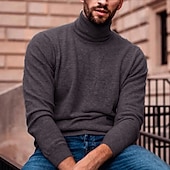 levne pánský pulovrový svetr-Pánské Rolák Pulovrový svetr Pánský svetr s želvím krkem Rýhovaný Plést Standardní Úplet Bez vzoru Rolák Moderní soudobé Úzký střih Práce Denní nošení Oblečení Podzim zima Fialová Černá S M L