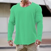 男性用 スウェットシャツ アプリコット ブラック ホワイト ブルー グリーン クルーネック 平織り スポーツ 日常 祝日 ポリエステル ストリートファッション ベーシック カジュアル 春 & 秋 衣類 パーカー トレーナー 長袖 お買い得  ベーシックスウェットシャツ-男性用 スウェットシャツ アプリコット ブラック ホワイト ブルー グリーン クルーネック 平織り スポーツ 日常 祝日 ポリエステル ストリートファッション ベーシック カジュアル 春 & 秋 衣類 パーカー トレーナー 長袖