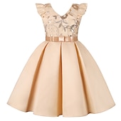cheap Party Dresses-Kids Girls&#039; Party Dress Solid Color Sleeveless Formal Performance Wedding Lace Adorable Daily Beautiful Cotton Midi Party Dress Floral Embroidery Dress Flower Girl&#039;s Dress Summer Spring Fall 3-10
