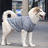 tanie Odzież i akcesoria dla psów-Psy Koty Bluza dresowa Moda Minimalistyczny Zima Ciepłe Oddychający Miękka Zmywalny Wygodny Na zewnątrz Codzienne Ubranka dla psów for Bichon frise Szpic miniaturowy szczeniaków i młodych kotów Motyl