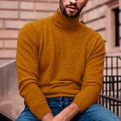 levne pánský pulovrový svetr-Pánské Rolák Pulovrový svetr Pánský svetr s želvím krkem Rýhovaný Plést Standardní Úplet Bez vzoru Rolák Moderní soudobé Úzký střih Práce Denní nošení Oblečení Podzim zima Fialová Černá S M L