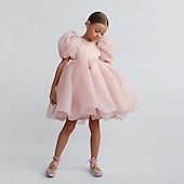 cheap Flower Girl&#039;s Dresses-Kids Girls&#039; Flower Girl Dress Party Dress Solid Color Graphic Short Sleeve Performance Wedding Party Fashion Adorable Daily Cotton Party Dress Spring Fall 2-8 Years White Ivory Pink
