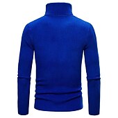 preiswerte Herrenpullover-Herren Rollkragenpulli Pullover Kurzer Pullover Gerippt Stricken Normale Oberteile gestrickt Glatt Rollkragen Moderne zeitgenössische Arbeit Freizeitskleidung Bekleidung Winter Wein Schwarz S M L