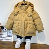 billiga Pojkars dunjacka och parka-Barn Pojkar Fleece-jacka Hoodiejacka Ytterkläder Ensfärgat Långärmad Dragkedja Täcka Ledigt Förtjusande Dagligen Svart Grön Khaki grön Vår Höst 7-13 år