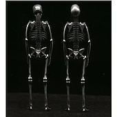 ieftine Decorațiuni de Halloween pentru suspendare și masă-cadou de halloween 14 cm/5,51 inchi, pandantiv cu schelet pentru întregul corp din argint sterlind realizat manual - cadou de halloween