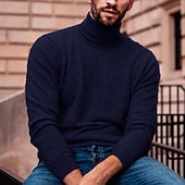 billige genser for menn-Herre Turtleneck genser Pullover genser Herre Turtle Neck Jumper Riflet Strikke Normal Strikket عادي Rullekrage Moderne Moderne Slim passform Arbeid Dagligdagstøy Klær Høst vinter Vin Svart S M L