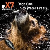 cheap Dog Training &amp; Behavior-Dog training collar LCD screen display three training modes beeping vibration electric shock with strong torch IP67 waterproof suitable for medium and large dogs With anti loss rope