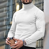 preiswerte Herrenpullover-Herren Rollkragenpulli Pullover Gerippt Stricken Standard gestrickt Glatt Rollkragen Moderne zeitgenössische Schmaler Schnitt Arbeit Freizeitskleidung Bekleidung Herbst Winter Wein Schwarz M L XL
