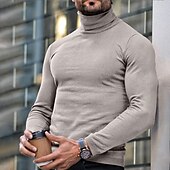 preiswerte Herrenpullover-Herren Rollkragenpulli Pullover Gerippt Stricken Standard gestrickt Glatt Rollkragen Moderne zeitgenössische Schmaler Schnitt Arbeit Freizeitskleidung Bekleidung Herbst Winter Wein Schwarz M L XL