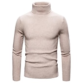 preiswerte Herrenpullover-Herren Rollkragenpulli Pullover Kurzer Pullover Gerippt Stricken Normale Oberteile gestrickt Glatt Rollkragen Moderne zeitgenössische Arbeit Freizeitskleidung Bekleidung Winter Wein Schwarz S M L