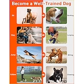 economico Addestramento e accessori educativi per cani-collare antiabbaio per cani di grossa taglia con raggio d&#039;azione di 3.300 piedi combinato collare antiabbaio e addestramento con 3 modalità segnale acustico vibrazione shock di sicurezza dispositivo
