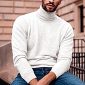 billige genser for menn-Herre Turtleneck genser Pullover genser Herre Turtle Neck Jumper Riflet Strikke Normal Strikket عادي Rullekrage Moderne Moderne Slim passform Arbeid Dagligdagstøy Klær Høst vinter Vin Svart S M L