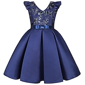 cheap Party Dresses-Kids Girls&#039; Party Dress Solid Color Sleeveless Formal Performance Wedding Lace Adorable Daily Beautiful Cotton Midi Party Dress Floral Embroidery Dress Flower Girl&#039;s Dress Summer Spring Fall 3-10