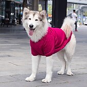 tanie Odzież i akcesoria dla psów-Psy Koty Bluza dresowa Moda Minimalistyczny Zima Ciepłe Oddychający Miękka Zmywalny Wygodny Na zewnątrz Codzienne Ubranka dla psów for Bichon frise Szpic miniaturowy szczeniaków i młodych kotów Motyl