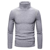 preiswerte Herrenpullover-Herren Rollkragenpulli Pullover Kurzer Pullover Gerippt Stricken Normale Oberteile gestrickt Glatt Rollkragen Moderne zeitgenössische Arbeit Freizeitskleidung Bekleidung Winter Wein Schwarz S M L
