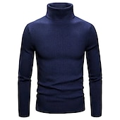 preiswerte Herrenpullover-Herren Rollkragenpulli Pullover Kurzer Pullover Gerippt Stricken Normale Oberteile gestrickt Glatt Rollkragen Moderne zeitgenössische Arbeit Freizeitskleidung Bekleidung Winter Wein Schwarz S M L