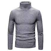 preiswerte Herrenpullover-Herren Rollkragenpulli Pullover Kurzer Pullover Gerippt Stricken Normale Oberteile gestrickt Glatt Rollkragen Moderne zeitgenössische Arbeit Freizeitskleidung Bekleidung Winter Wein Schwarz S M L