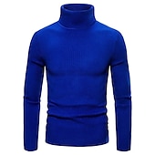 preiswerte Herrenpullover-Herren Rollkragenpulli Pullover Kurzer Pullover Gerippt Stricken Normale Oberteile gestrickt Glatt Rollkragen Moderne zeitgenössische Arbeit Freizeitskleidung Bekleidung Winter Wein Schwarz S M L