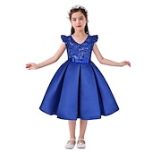 cheap Party Dresses-Kids Girls&#039; Party Dress Solid Color Sleeveless Formal Performance Wedding Lace Adorable Daily Beautiful Cotton Midi Party Dress Floral Embroidery Dress Flower Girl&#039;s Dress Summer Spring Fall 3-10