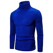preiswerte Herrenpullover-Herren Rollkragenpulli Pullover Kurzer Pullover Gerippt Stricken Normale Oberteile gestrickt Glatt Rollkragen Moderne zeitgenössische Arbeit Freizeitskleidung Bekleidung Winter Wein Schwarz S M L