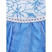 abordables Disfraces para niños-Frozen Cuento de Hadas Princesa Elsa Vestido de niña de las flores Disfraz de fiesta temática Vestidos de tul Cosplay Cosplay de película for Chica Niños Navidad Carnaval Mascarada Boda Invitado a la