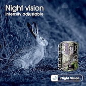 cheap Outdoor IP Network Cameras-Hunting Camera 4K/1080P 2-inch Display 118.11inch Pixels Outdoor Camera IP66 Waterproof Night Vision Camera Include 32G SD Card Supports Wifi Connection To Mobile Phone (Battery Not Included)