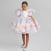 cheap Flower Girl&#039;s Dresses-Kids Girls&#039; Flower Girl Dress Party Dress Solid Color Graphic Short Sleeve Performance Wedding Party Fashion Adorable Daily Cotton Party Dress Spring Fall 2-8 Years White Ivory Pink