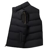 abordables Gilets-Homme Gilet polaire Gilet Usage quotidien Vacances Sortie Mode basique Printemps &amp; Automne Bouton Polyester Confortable Plein Boutonnage Simple Col Mao Col V Standard Noir Rouge bleu marine Gilet