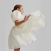 cheap Flower Girl&#039;s Dresses-Kids Girls&#039; Flower Girl Dress Party Dress Solid Color Graphic Short Sleeve Performance Wedding Party Fashion Adorable Daily Cotton Party Dress Spring Fall 2-8 Years White Ivory Pink
