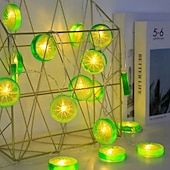 abordables Guirlandes lumineuses à piles-Guirlande lumineuse élégante de 3 mètres avec 20 tranches de citron pour réception de mariage, décoration de jardin, cour de mariage, intérieur et extérieur