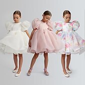 cheap Flower Girl&#039;s Dresses-Kids Girls&#039; Flower Girl Dress Party Dress Solid Color Graphic Short Sleeve Performance Wedding Party Fashion Adorable Daily Cotton Party Dress Spring Fall 2-8 Years White Ivory Pink