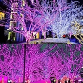 economico Halloween all&#039;Aperto-stringa di luce viola di halloween 8 funzioni per interni ed esterni stringa di luce decorativa di halloween spina di sicurezza a bassa tensione 10 metri 100 luci 20 metri 200 luci 30 metri 300 luci