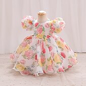 abordables Robes de fête-Tout-petit Fille Robe de Soirée Graphique Manche Courte Mariage Mignon Polyester Mi-long Été 3-7 Ans Multicouleur Rouge Vert