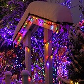 abordables Guirlandes lumineuses à brancher-lumières de Noël 16,4 pieds 50 LED C6 lumières de Noël 5 m avec fonction de synchronisation prise étanche et connectable pour la décoration de jardin de fête à la maison décorations de Noël en plein
