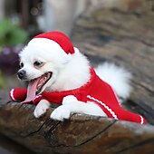 ieftine Îmbrăcăminte și accesorii pentru câini-Câini Pisici Manta Cosplay Ținuta de Crăciun Modă Petrecere Iarnă Respirabil Απαλό Lavabil Comfortabil Petrecere Crăciun Casul / Zilnic Festival Îmbrăcăminte pentru câini for Bichon Frise Pomeran un