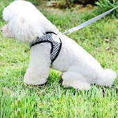 baratos Coleiras, Trelas e Peitorais para Cães-Cachorros Gatos Arreios Trela de treinamento Ajustável Portátil Durável Ao ar livre Caminhada