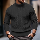 preiswerte Herrenpullover-Herren Rollkragenpulli Pullover Zur Seite fahren Gerippt Gedrehtes Stricken Strick Glatt Rollkragen warm halten Brautkleider schlicht Freizeitskleidung Urlaub Bekleidung Herbst Winter Kamel Schwarz M