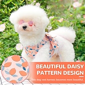 cheap Dog Collars, Harnesses &amp; Leashes-Dog Harness and Leash Set with Bow Knot No Pull Pet Daisy Floral Harness with D-Ring Soft Mesh Dog Harness Vest Set Escape Proof Princess Puppy Harness for Small Girl Dogs Cats
