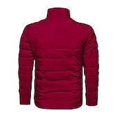 billiga Herrdunjackor och -parkas-Herr Vinterkappa Vinterjacka Pufferjacka Dragkedja Ficka Polyester Ficka Kontor &amp; Karriär Datum Ledigt / vardag Normal Mode Ledigt Vindtät Håller värmen Vinter Slät Svart Marinblå Grå Pufferjacka