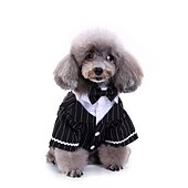 cheap Dog Apparel &amp; Accessories-Dog Cat Suit Fashion Cute Winter Soft Washable Comfortable Wedding Outdoor Party Birthday Wedding Party Dog Clothing for Bichon Frise Poodle Pomeranian Baby Pet Papillon