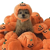 ieftine Costumele-Câini Pisici Bandană Câine &amp; Căciulă Câine Petrecere Amuzant Iarnă Respirabil Απαλό Lavabil Comfortabil Petrecere Halloween Casul / Zilnic Festival Îmbrăcăminte pentru câini for Bichon Frise Pomeran