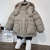 billiga Pojkars dunjacka och parka-Barn Pojkar Fleece-jacka Hoodiejacka Ytterkläder Ensfärgat Långärmad Dragkedja Täcka Ledigt Förtjusande Dagligen Svart Grön Khaki grön Vår Höst 7-13 år