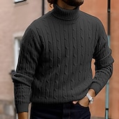 billige genser for menn-Herre Turtleneck genser Genser Riflet Kabel Strikke Strikket عادي Rullekrage Hold Varm Moderne Moderne Dagligdagstøy Ut på byen Klær Høst vinter Svart Hvit M L XL